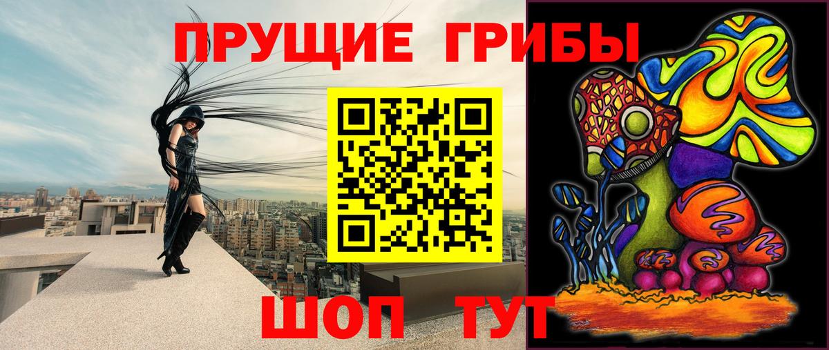 Галлюциногенные грибы прущие грибы Коломна