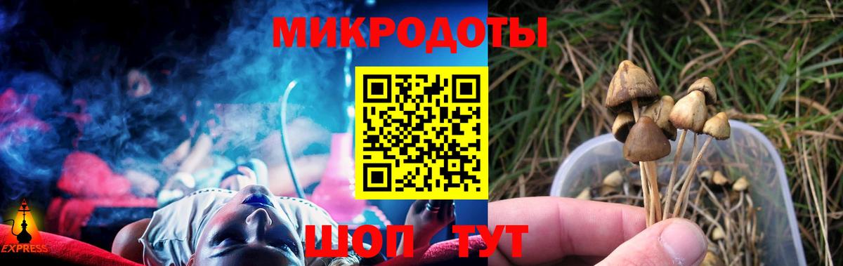 Псилоцибиновые грибы ЛСД  Псилоцибиновые грибы мухоморы  где найти   Вход с VPN  Коломна 